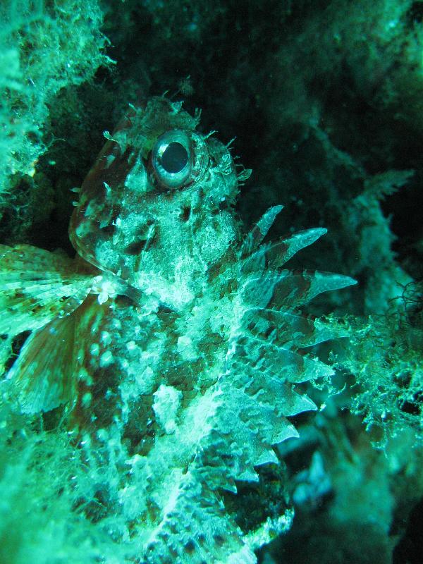 2009-09-11 12-38-24S.JPG
